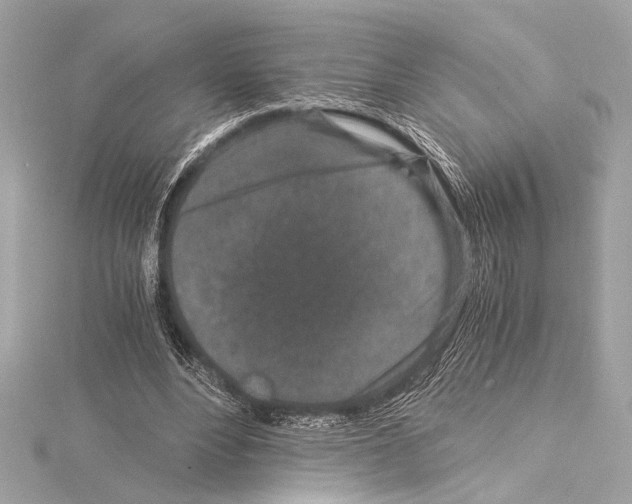 X0000115060488200912071154