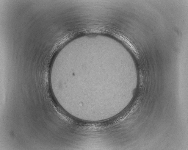 X0000115060489200912071154