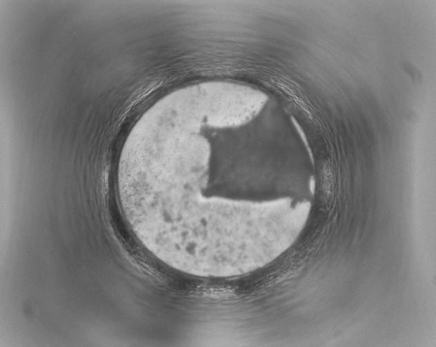 X0000115060491200912071154