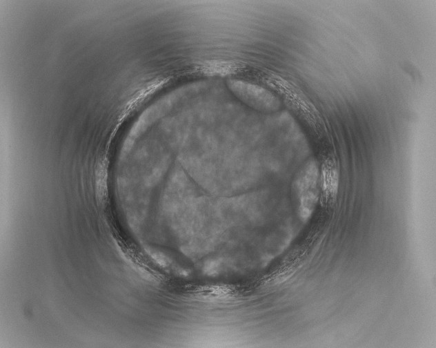 X0000115060492200912071154