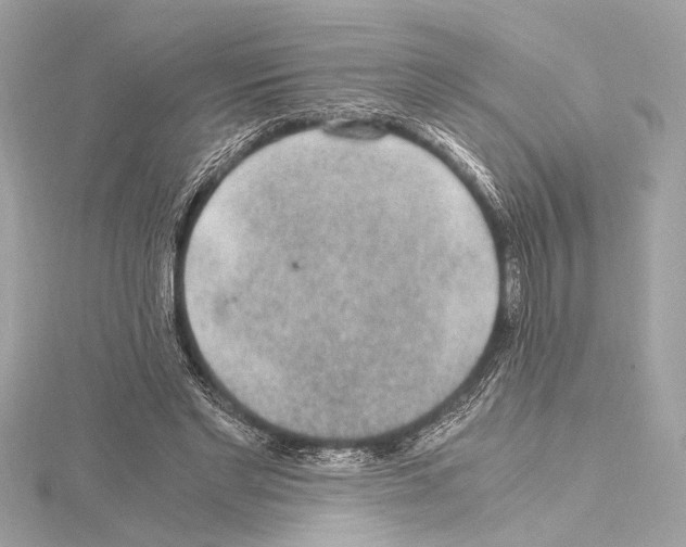 X0000115060493200912071154