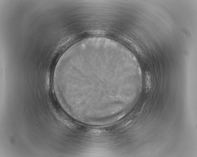 X0000115060494200912071154