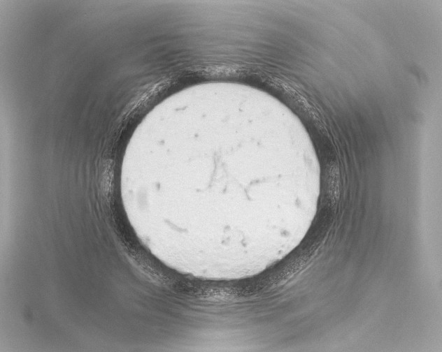 X0000115060495200912071154