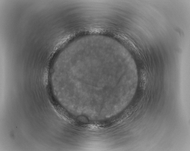 X0000115060496200912071154