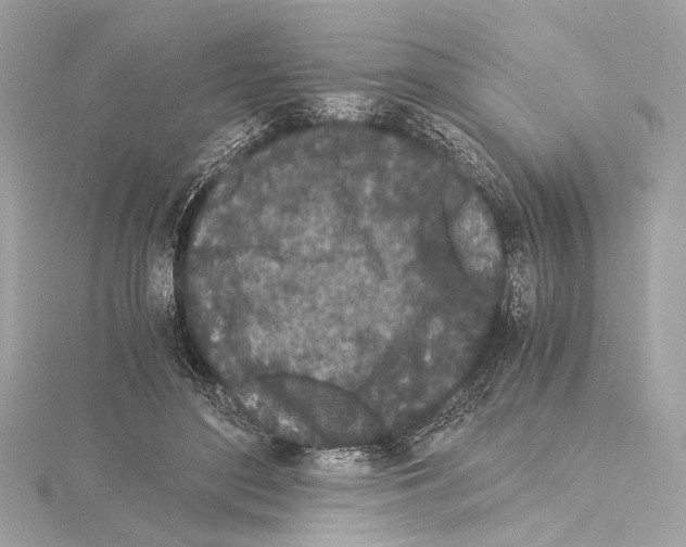 X0000115060500200912071154