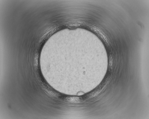 X0000115060501200912071154