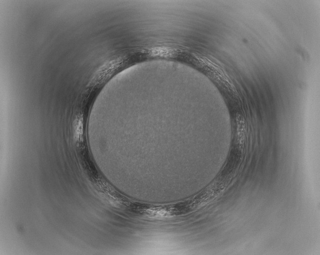 X0000115060502200912071154