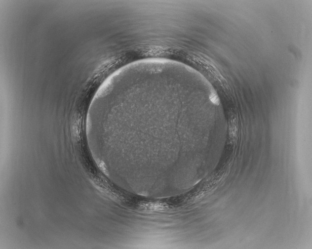 X0000115060503200912071154