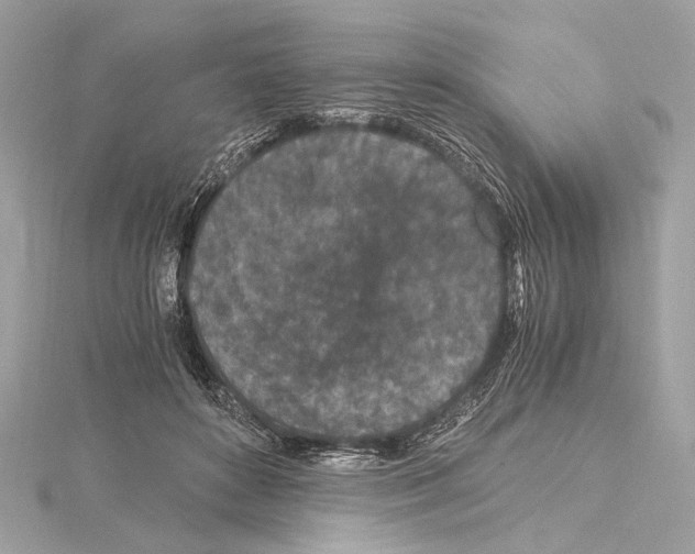 X0000115060504200912071154