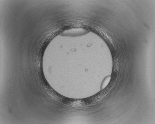 X0000115060505200912071154