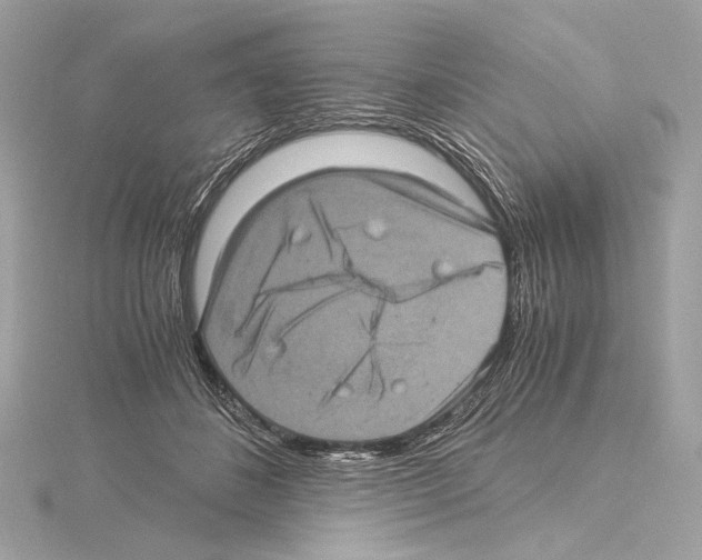 X0000115060508200912071154