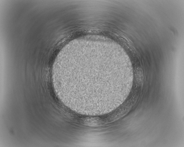 X0000115060511200912071154