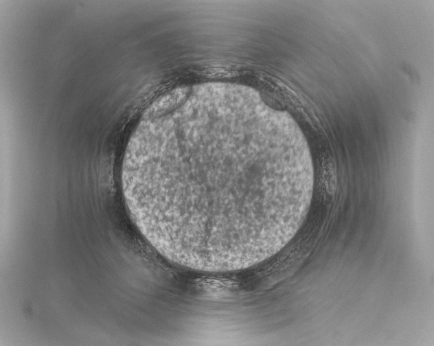 X0000115060512200912071154