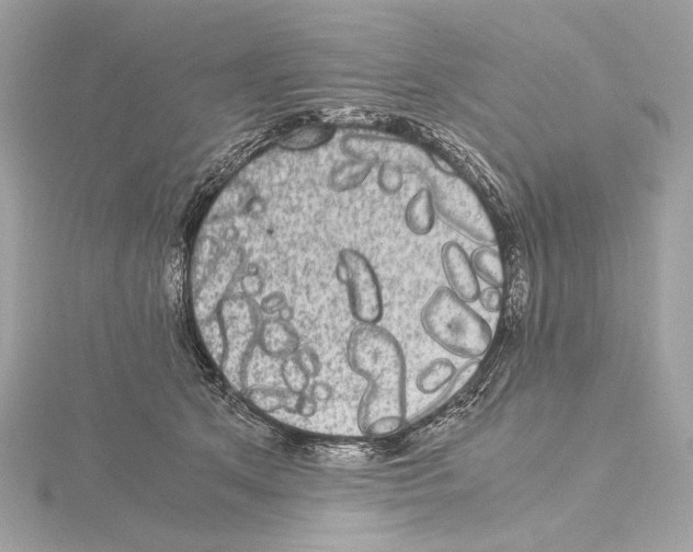 X0000115060513200912071154