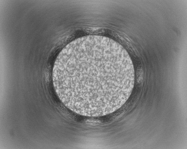 X0000115060515200912071154