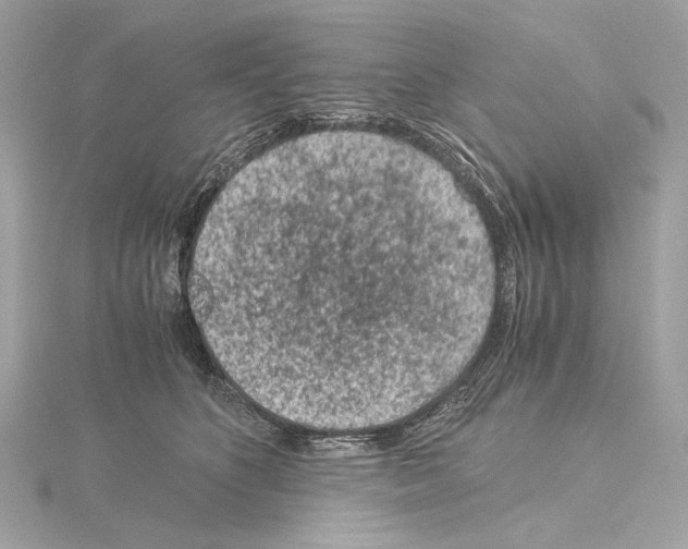 X0000115060516200912071154