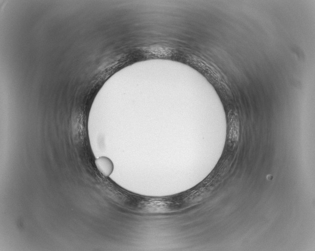 X0000115060518200912071154