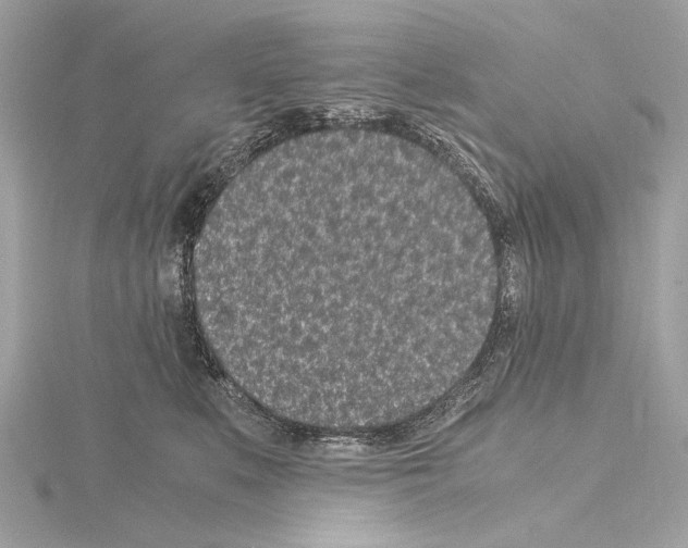 X0000115060519200912071154