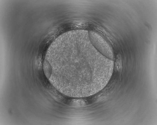 X0000115060520200912071154