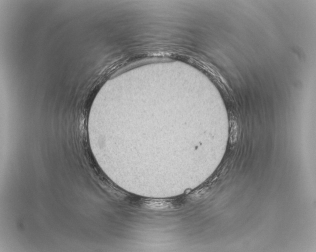 X0000115060521200912071154