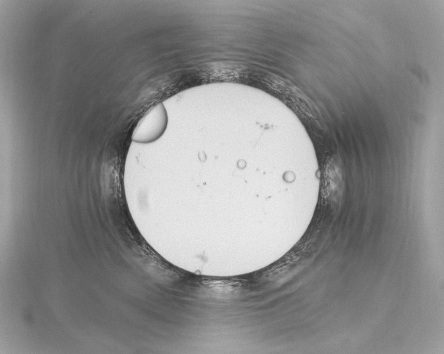 X0000115060522200912071154