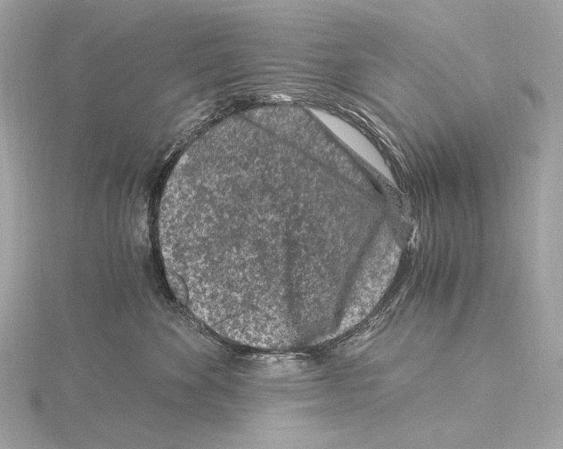 X0000115060524200912071154