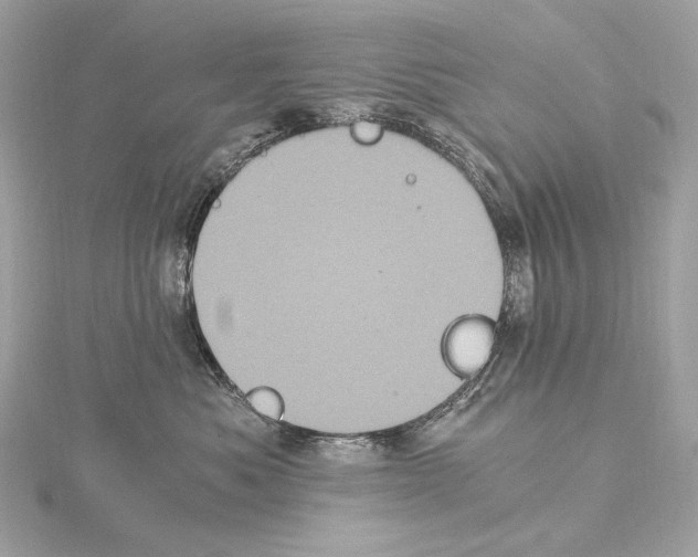 X0000115060525200912071154