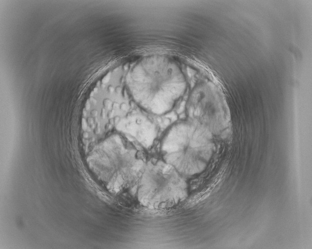 X0000115060529200912071153