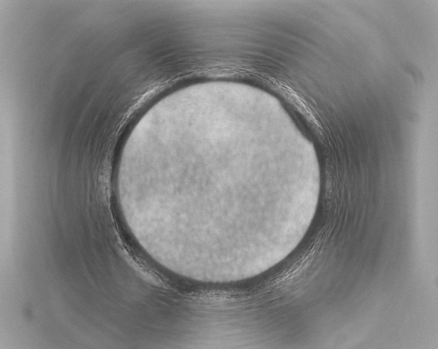 X0000115060530200912071153