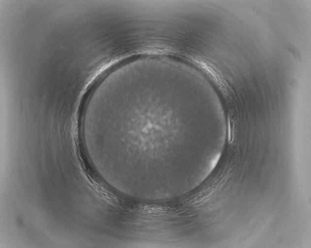 X0000115060531200912071153