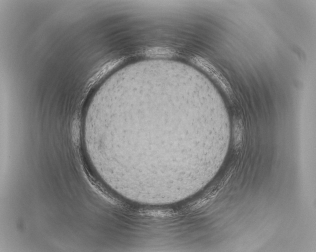 X0000115060533200912071153