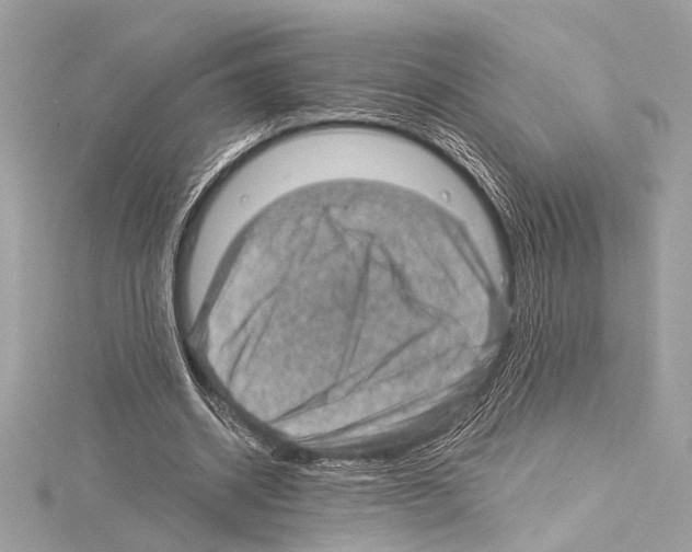 X0000115060534200912071153