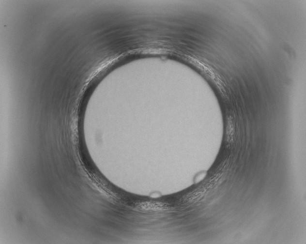 X0000115060535200912071153