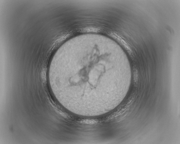 X0000115060537200912071153