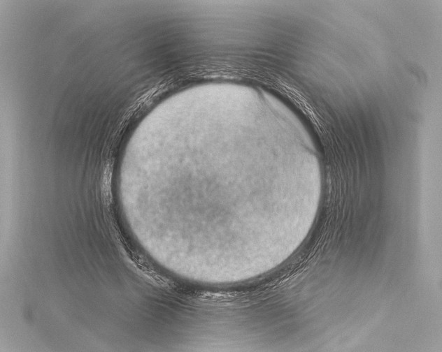 X0000115060538200912071153