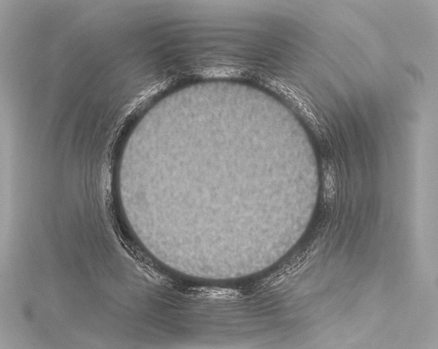 X0000115060539200912071153