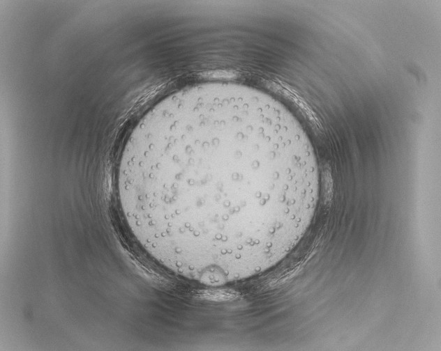 X0000115060541200912071153