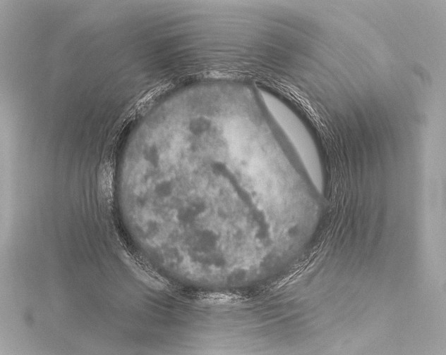 X0000115060542200912071153