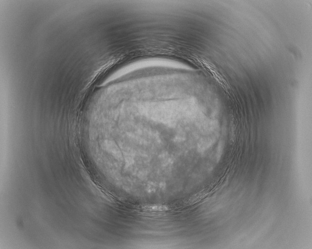 X0000115060543200912071153