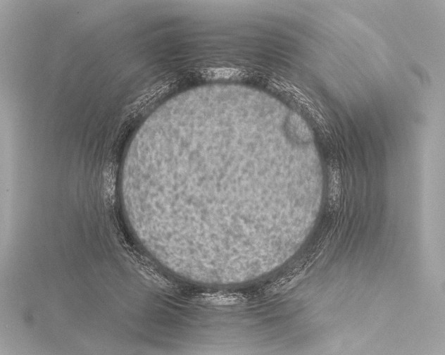 X0000115060545200912071153