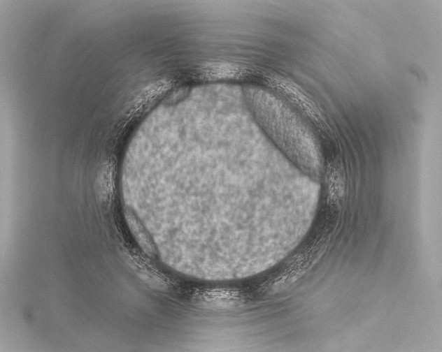 X0000115060546200912071153