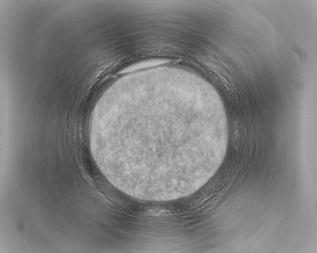 X0000115060547200912071153