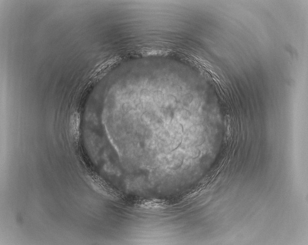 X0000115060550200912071153