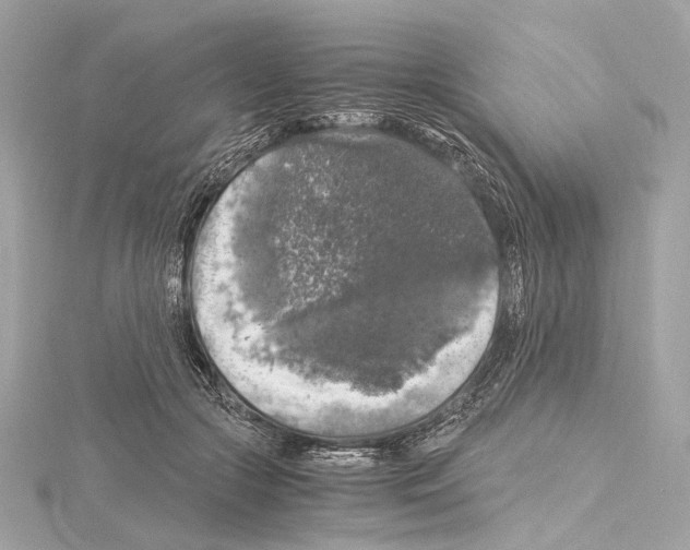 X0000115060553200912071153