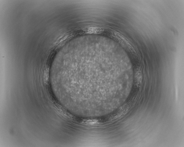 X0000115060554200912071153