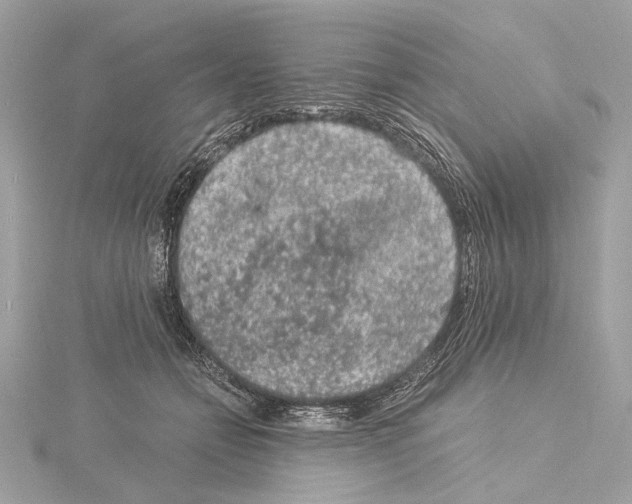 X0000115060558200912071153