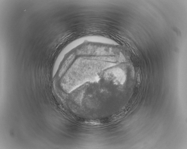 X0000115060559200912071153