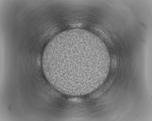 X0000115060561200912071153