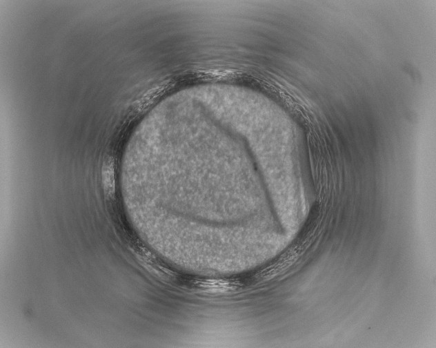 X0000115060562200912071153