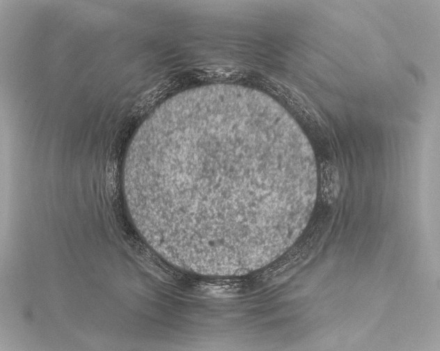 X0000115060563200912071153